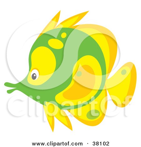 Clipart Illustration of a Yellow And Green Saltwater Fish by Alex Bannykh