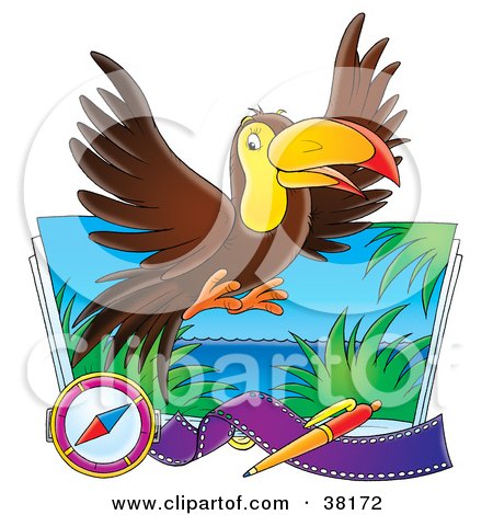 Clipart Illustration of a Brown Toucan Flying Over A Photograph With A Compass, Pen And Film by Alex Bannykh