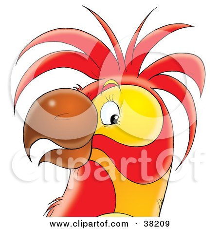 Clipart Illustration of a Friendly Yellow And Red Parrot's Face by Alex Bannykh