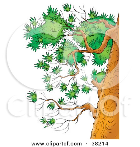 Clipart Illustration of Branches With Green Foliage On The Side Of A Tree by Alex Bannykh