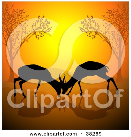 Clipart Illustration of Two Young Male Antelope Engaged In Battle, Their Antlers Entwined, Against An Orange Sunset by dero