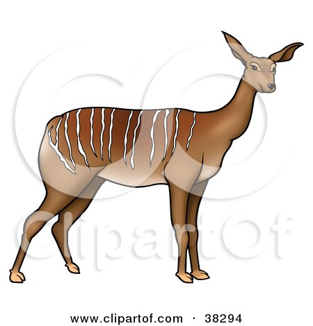 Clipart Illustration of a Wild Antelope With White Stripes Along Its Back by dero