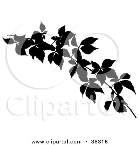 Clipart Illustration of a Silhouetted Leafy Branch by dero