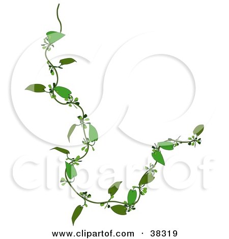 Clipart Illustration of a Curly Green Creeper Plant by dero