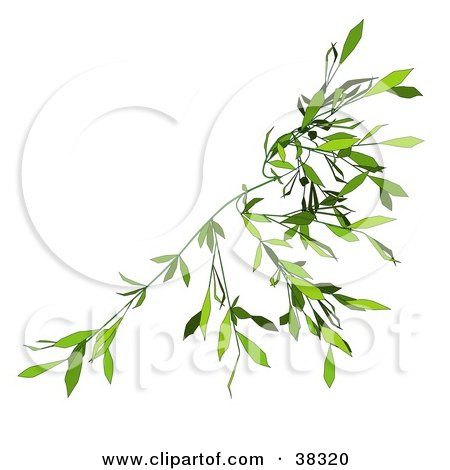 Clipart Illustration of a Green Creeper Vine by dero