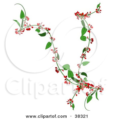 Clipart Illustration of a Creeper Plant With Red Flowers by dero