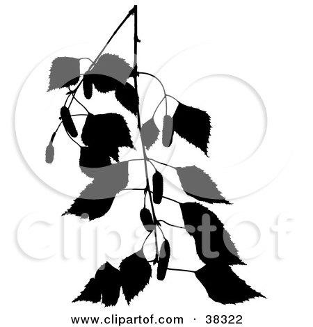 Clipart Illustration of a Black Silhouetted Branch Of A Birch Tree by dero