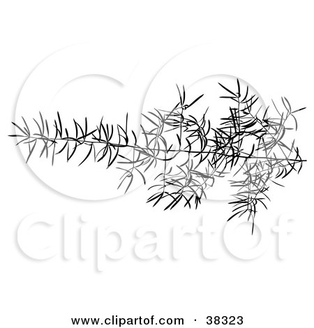Clipart Illustration of a Black Branch With Delicate Leaves by dero