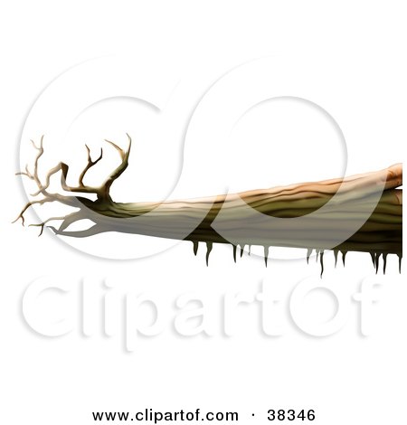 Clipart Illustration of a Dead Fallen Tree Trunk by dero