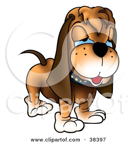 Clipart Illustration of a Grumpy Hound Dog With Blue Eyes by dero