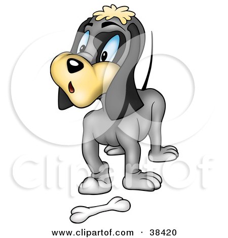 Clipart Illustration of a Surprised Gray Dog Standing In Front Of A Bone by dero