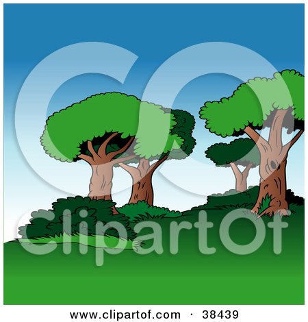 Clipart Illustration of a Nature Background Of Mature Trees And Bushes Over Lawn On A Hill by dero