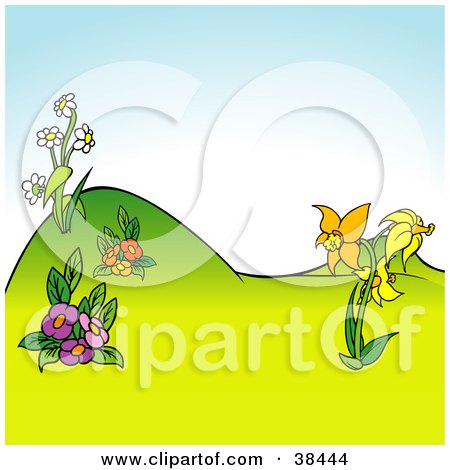 Clipart Illustration of a Nature Background Of Yellow, Purple, Red And White Flowers In A Hilly Landscape by dero