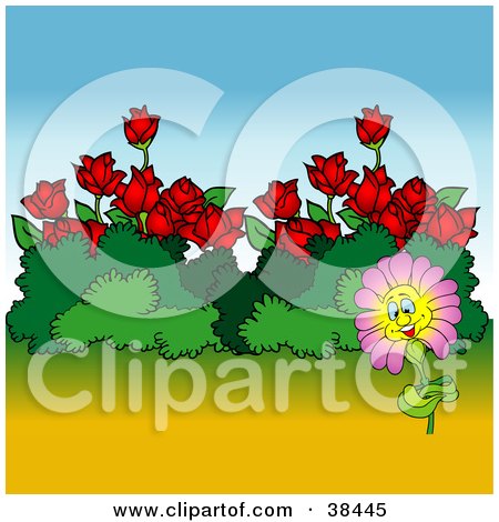 Clipart Illustration of a Nature Background Of A Happy Pink Flower By Bushes And Red Roses by dero