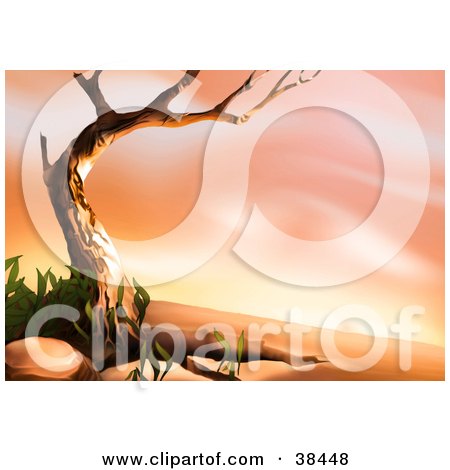 Clipart Illustration of a Nature Background Of A Bare Tree Framing A Desert Landscape Scene by dero