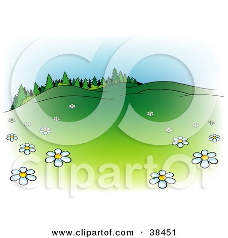 Clipart Illustration of a Nature Background Of White Spring Flowers In A Meadow At The Edge Of A Lush Forest by dero