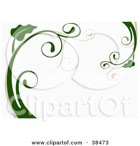 Clipart Illustration of a White Background With Beige And Green Plant Stalks And Curly Leaves by dero