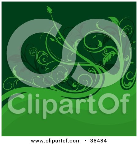 Clipart Illustration of a Dark And Light Green Background With Curly Vines And Waves by dero
