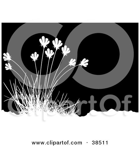 Clipart Illustration of a Tuft Of Grasses by dero