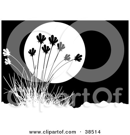 Clipart Illustration of a Tuft Of Grasses Silhouetted Against The Moon by dero