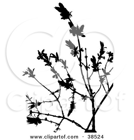 Clipart Illustration of a Nearly Bare Plant Silhouette by dero