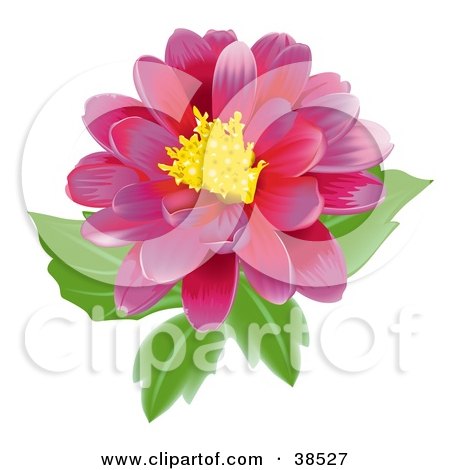 Clipart Illustration of a Blooming Pink Flower With A Yellow Center by dero
