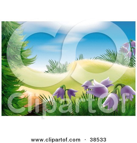 Clipart Illustration of a Patch Of Wild Purple Bell Flowers Growing On A Forest Hill by dero