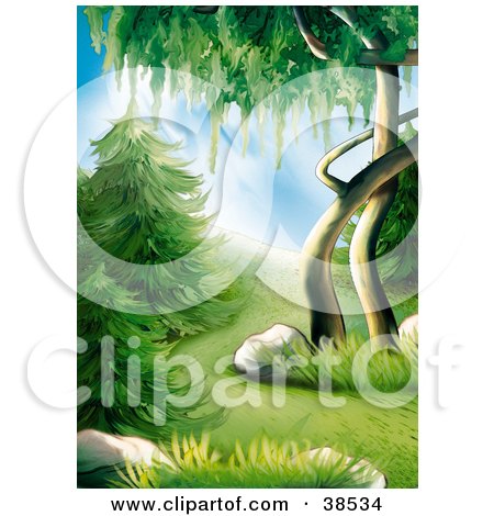 Clipart Illustration of Lush Green Evergreens And Trees On A Forest Hillside by dero