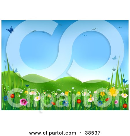 Clipart Illustration of a Lush Green Spring Meadow With Colorful Wild Flowers And Butterflies Under A Blue Sky by dero