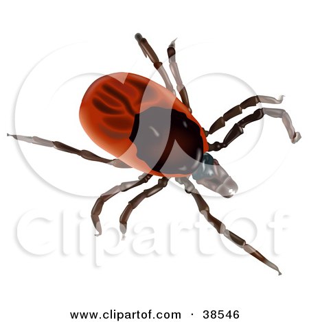 Clipart Illustration of a Red Sheep Tick Or Castor Bean Tick (Ixodes Ricinus) by dero