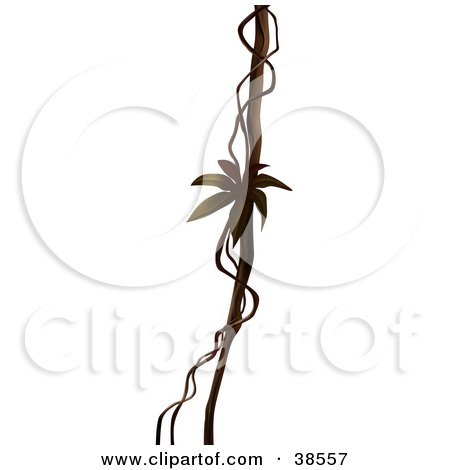 Clipart Illustration of a Brown Liana Vine by dero