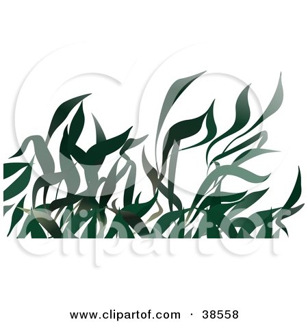 Clipart Illustration of Long Leaved Green Grasses by dero