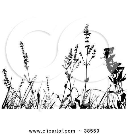 Clipart Illustration of Black Silhouetted Weeds by dero