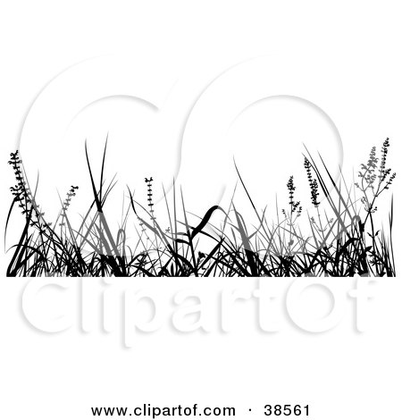 Clipart Illustration of Tall Weeds Silhouetted in Black by dero