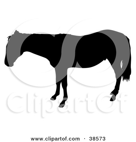 Clipart Illustration of a Black Silhouetted Horse in Profile by dero
