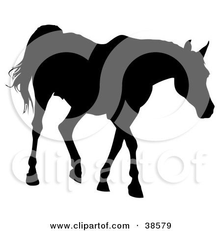 Clipart Illustration of a Black Silhouette Of A Walking Horse by dero