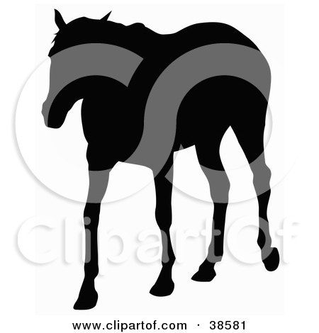 Clipart Illustration of a Grown Horse Silhouetted In Black by dero
