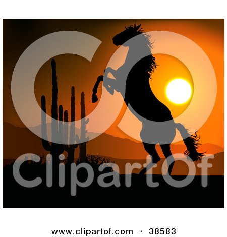 Clipart Illustration of a Rearing Wile Horse In The Desert, Silhouetted Against An Orange Sunset by dero
