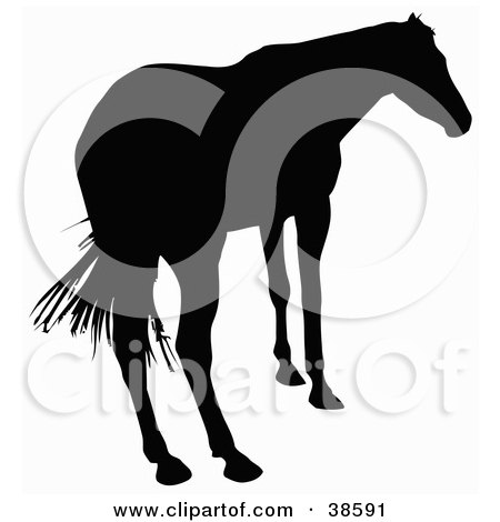 Clipart Illustration of a Rear View Of A Horse Silhouetted In Black by dero