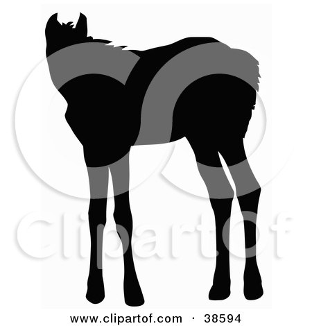 Clipart Illustration of a Black Silhouette Of A Standing Foal by dero
