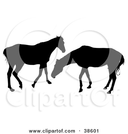 Clipart Illustration of Two Silhouetted Horses Playing by dero