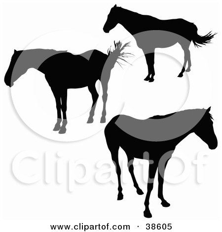 Clipart Illustration of Three Standing Silhouetted Horses   by dero
