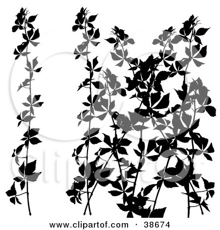 Clipart Illustration of a Leafy Shrub Silhouetted in Black by dero
