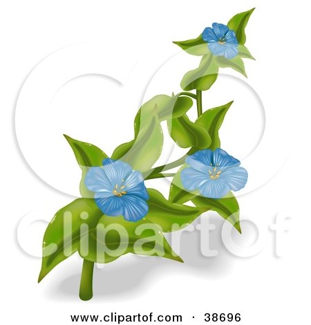 Clipart Illustration of Three Blue Anemone Flowers On A Plant by dero