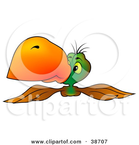 Clipart Illustration of a Brown And Green Parrot With An Orange Beak, Flying Forward by dero