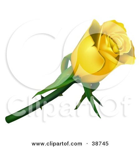 Clipart Illustration of a Single Yellow Rose With Thorns by dero