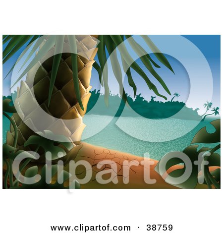 Clipart Illustration of a Palm Tree And Green Tropical Plants On A Dry Sandy Beach Of A Tropical Island by dero