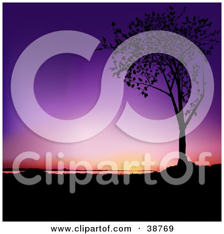 Clipart Illustration of a Purple And Orange Sunset Silhouetted A Tree In Black by dero