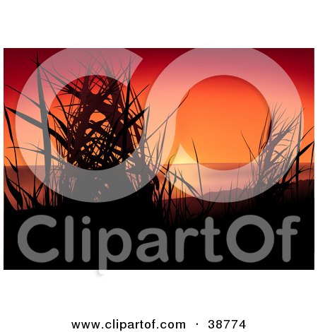 Clipart Illustration of a Red And Orange Sunset Silhouetting Grasses by dero