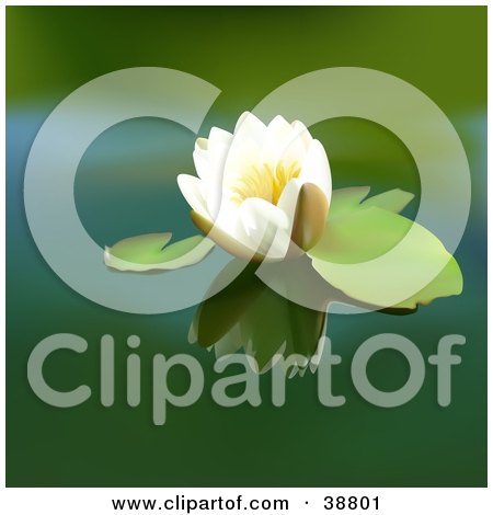 Clipart Illustration of a White Lotus Floating On A Green Pond by dero